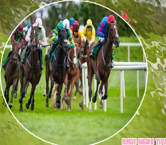 Best horse racing tipster free