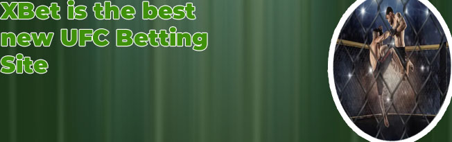 Best mma betting site