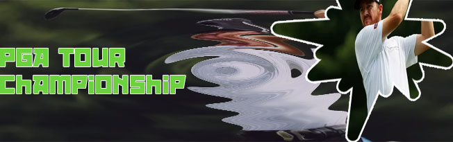 Tour championship odds
